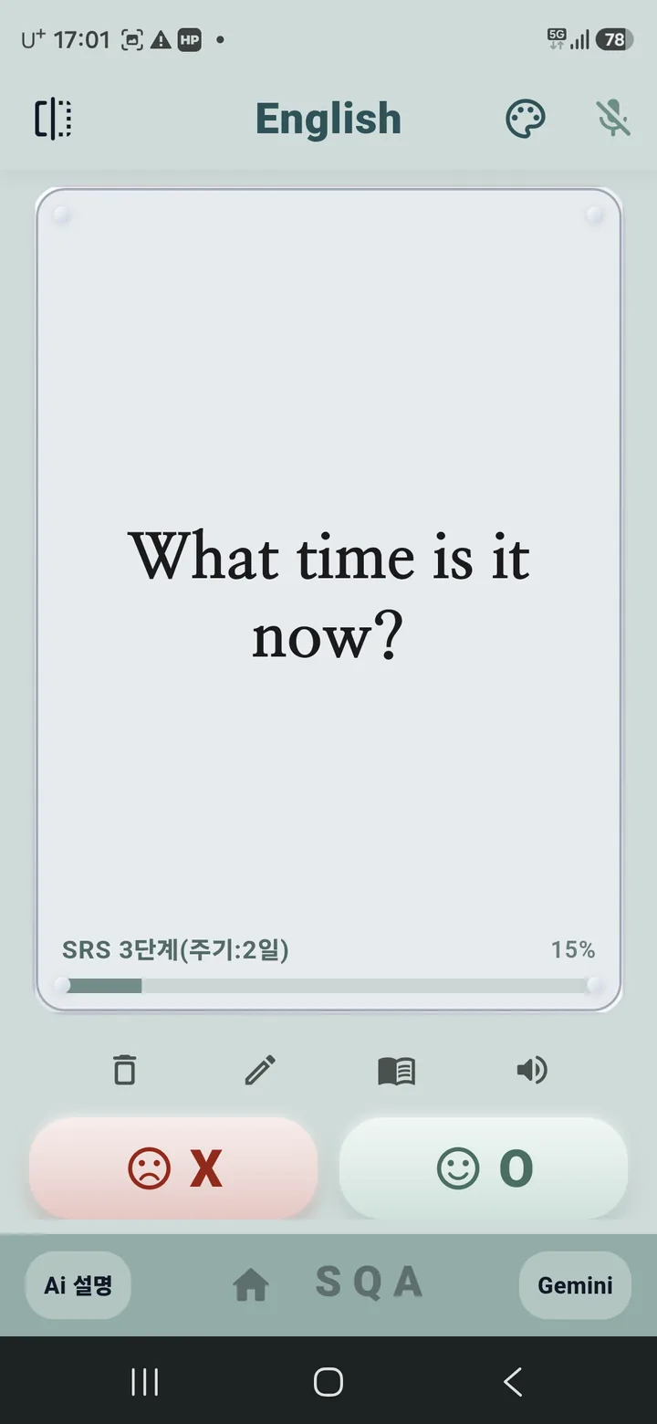 SRS 복습 화면